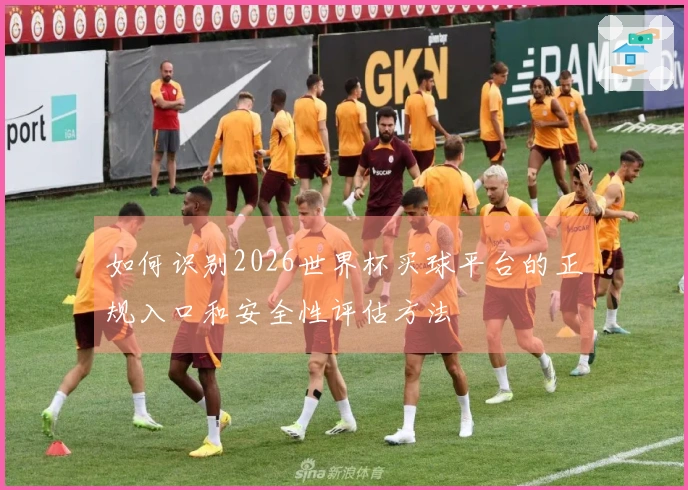 如何识别2026世界杯买球平台的正规入口和安全性评估方法