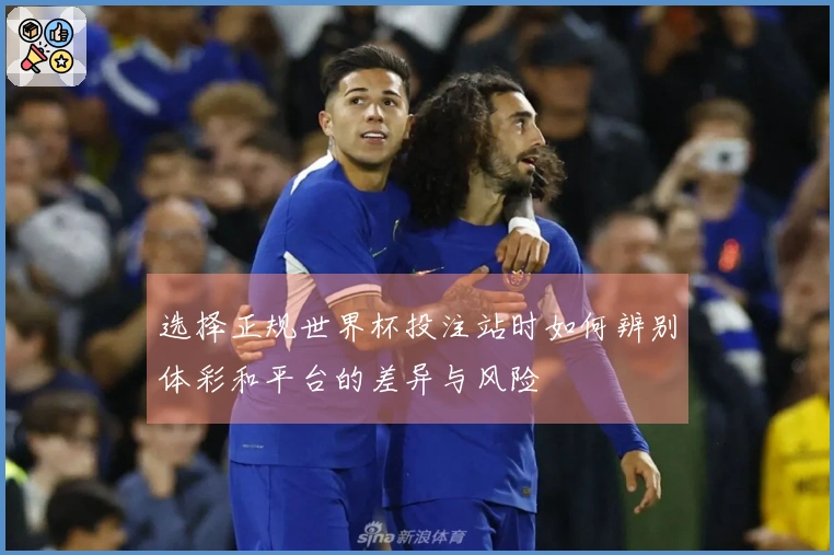 选择正规世界杯投注站时如何辨别体彩和平台的差异与风险