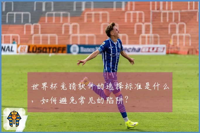 世界杯竞猜软件的选择标准是什么，如何避免常见的陷阱？