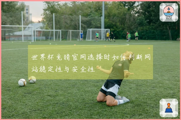 世界杯竞猜官网选择时如何判断网站稳定性与安全性