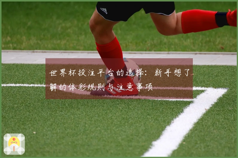 世界杯投注平台的选择：新手想了解的体彩规则与注意事项
