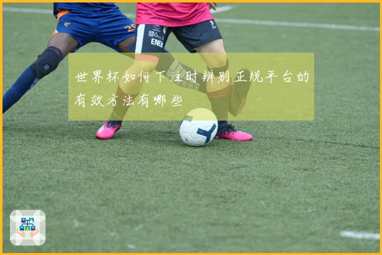 世界杯如何下注时辨别正规平台的有效方法有哪些