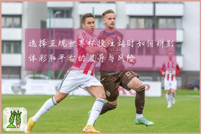 选择正规世界杯投注站时如何辨别体彩和平台的差异与风险