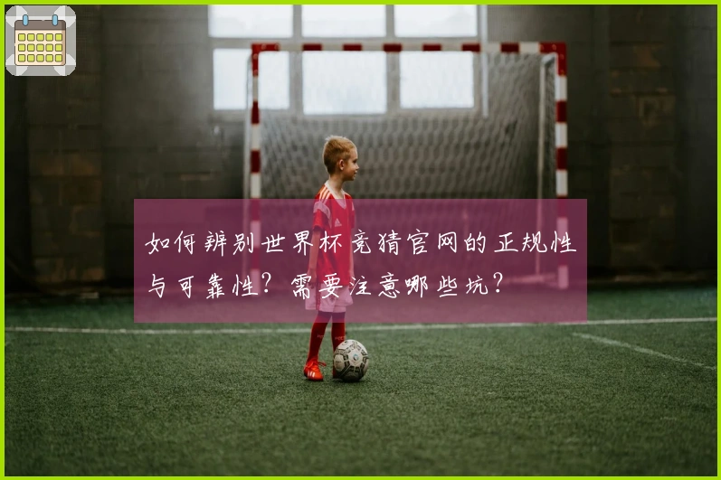 如何辨别世界杯竞猜官网的正规性与可靠性？需要注意哪些坑？