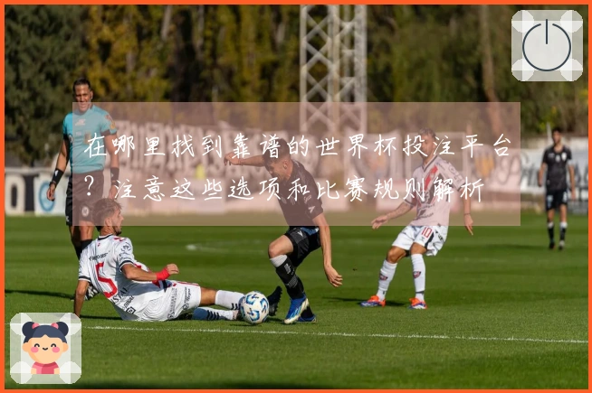 在哪里找到靠谱的世界杯投注平台？注意这些选项和比赛规则解析
