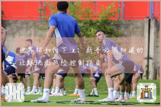 世界杯如何下注：新手必须知道的让球玩法风险控制指南