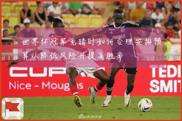 世界杯冠军竞猜时如何合理安排预算以降低风险并提高胜率