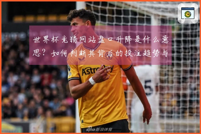 世界杯竞猜网站盘口升降是什么意思？如何判断其背后的投注趋势与风险