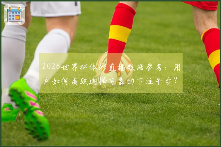 2026世界杯体彩直播数据参考，用户如何高效选择可靠的下注平台？
