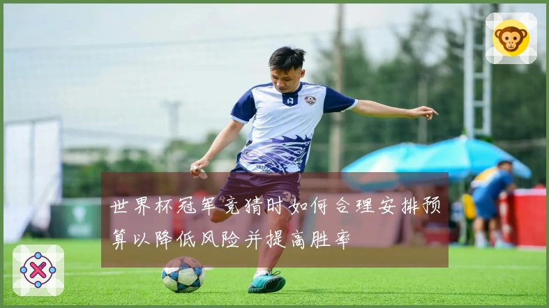 世界杯冠军竞猜时如何合理安排预算以降低风险并提高胜率