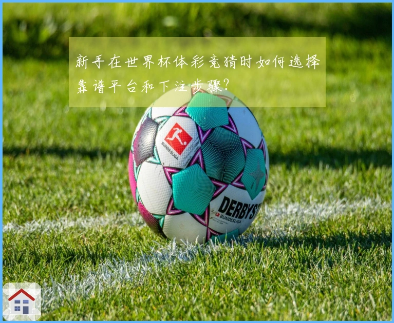 新手在世界杯体彩竞猜时如何选择靠谱平台和下注步骤？