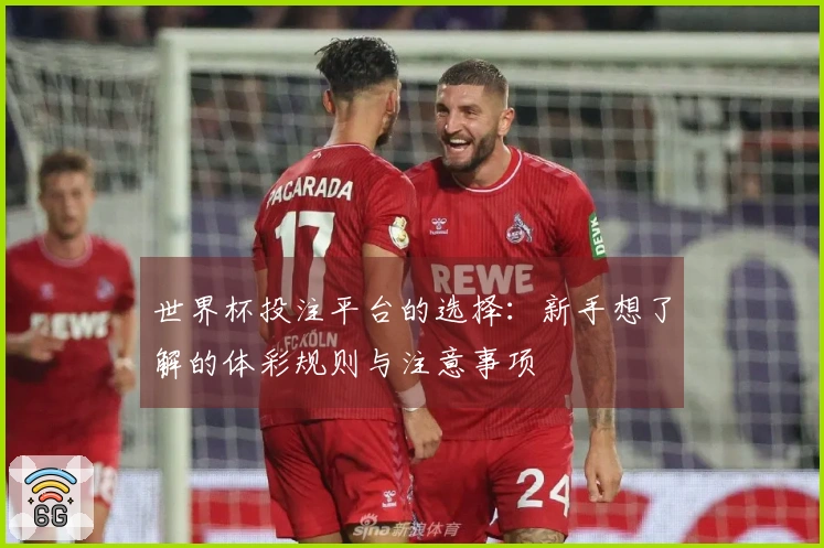 世界杯投注平台的选择：新手想了解的体彩规则与注意事项
