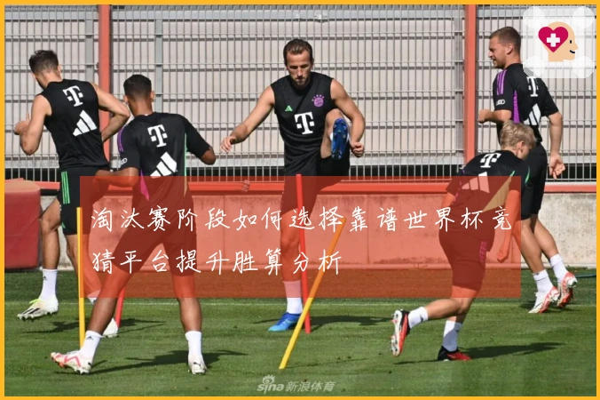 淘汰赛阶段如何选择靠谱世界杯竞猜平台提升胜算分析