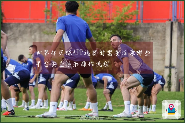 世界杯买球APP选择时需要注意哪些平台安全性和操作流程