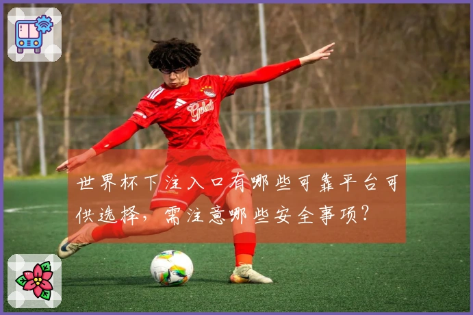 世界杯下注入口有哪些可靠平台可供选择，需注意哪些安全事项？