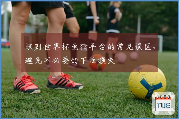 识别世界杯竞猜平台的常见误区，避免不必要的下注损失