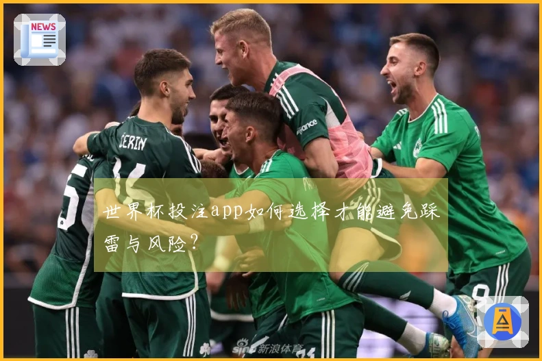 世界杯投注app如何选择才能避免踩雷与风险？