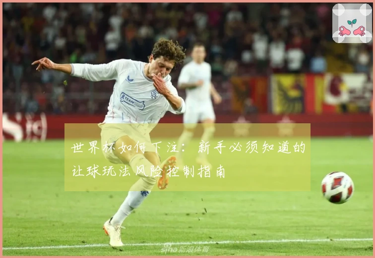 世界杯如何下注：新手必须知道的让球玩法风险控制指南