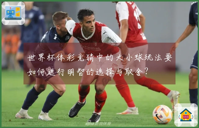 世界杯体彩竞猜中的大小球玩法要如何进行明智的选择与取舍？