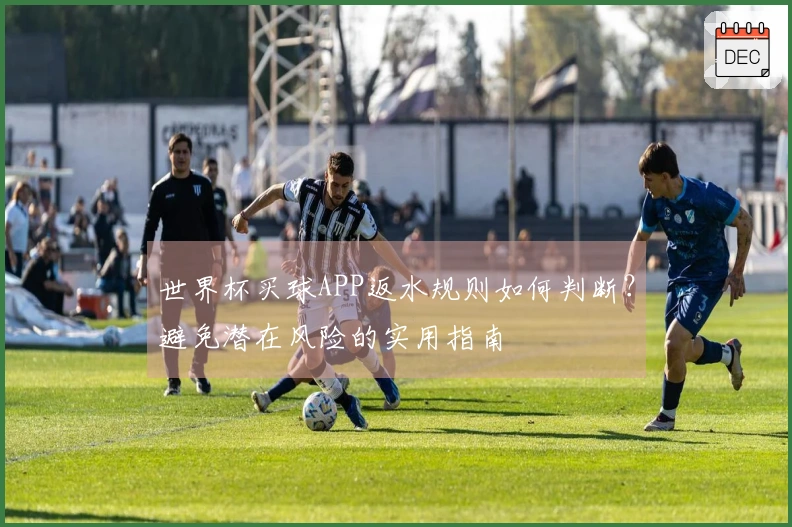 世界杯买球APP返水规则如何判断？避免潜在风险的实用指南