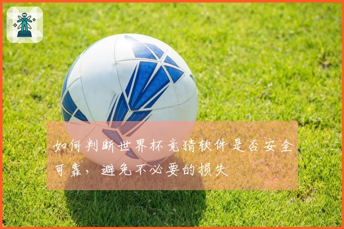 如何判断世界杯竞猜软件是否安全可靠，避免不必要的损失