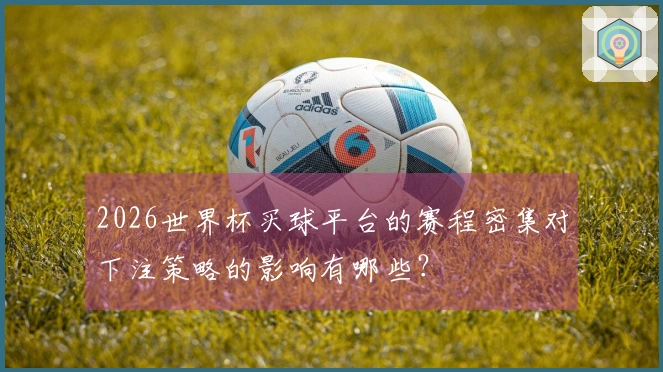 2026世界杯买球平台的赛程密集对下注策略的影响有哪些？