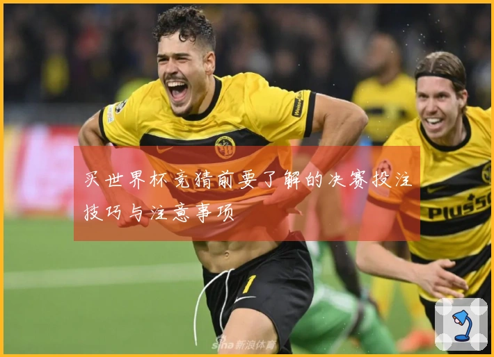 买世界杯竞猜前要了解的决赛投注技巧与注意事项
