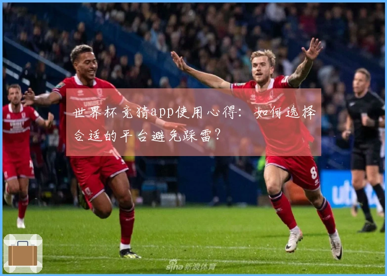 世界杯竞猜app使用心得：如何选择合适的平台避免踩雷？