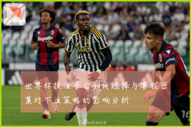 世界杯投注平台如何选择与赛程密集对下注策略的影响分析