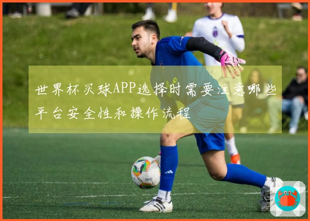 世界杯买球APP选择时需要注意哪些平台安全性和操作流程